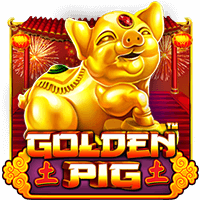 GOLDEN PIG